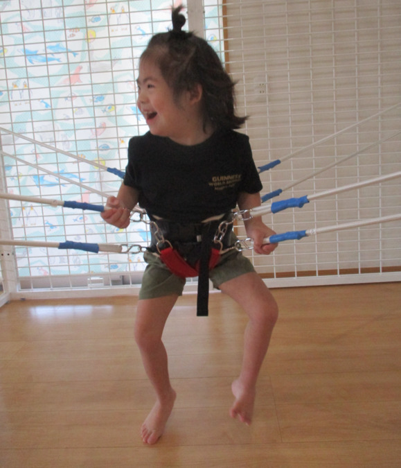 ぶどうの樹未来塾（言語聴覚士の求人）の写真3枚目：スパイダーシステム等の
様々な療育器具あります