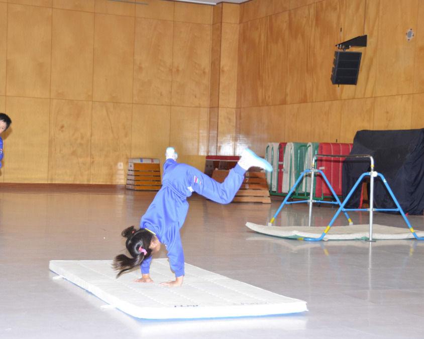 八潮ちくみ幼稚園/ちくみアフタースクールの写真7枚目：体育館で正課、課外の体操を行います