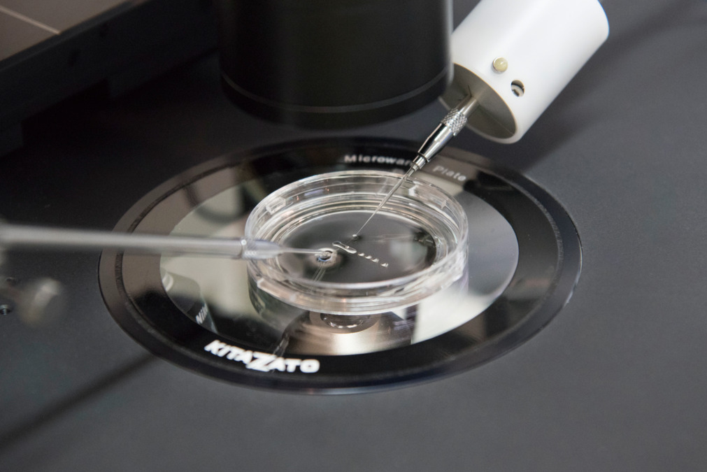 絹谷産婦人科（総合職/新卒/その他の求人）の写真4枚目：