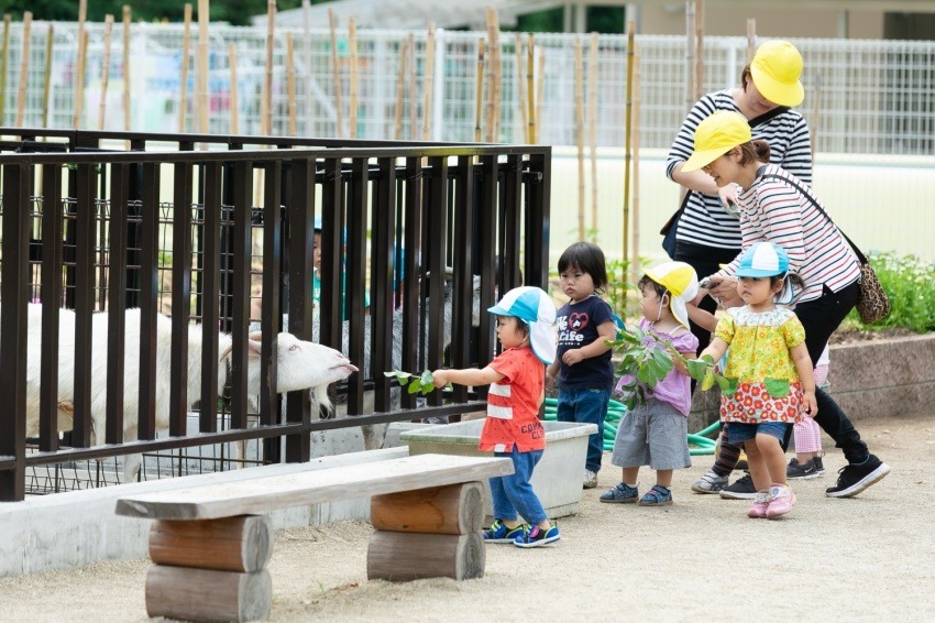 わくわくの森保育園の写真2枚目：敷地内にあるなかよし動物園にいるヤギさんへ餌をあげる園児たち