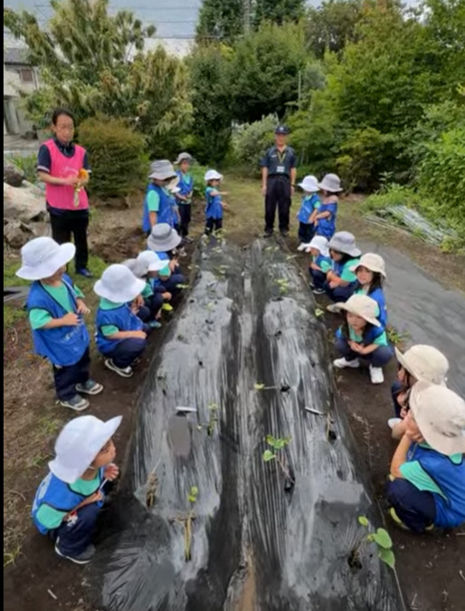 認定こども園　ぽかぽか保育園　本園（保育士の求人）の写真3枚目：自園畑で1年をとおして食育