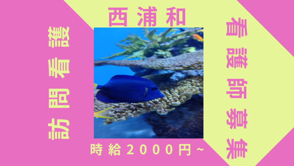 アクティブ訪問看護リハビリステーション西浦和の写真