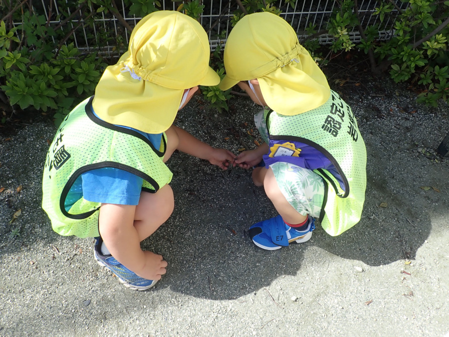 認定こども園岩槻ひかり（保育士の求人）の写真23枚目：