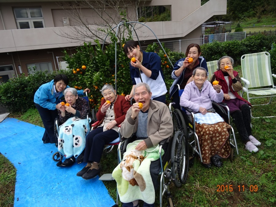 特別養護老人ホーム桧原サナホームの写真8枚目：近所のみかん狩り！少しすっぱかったですが…。
