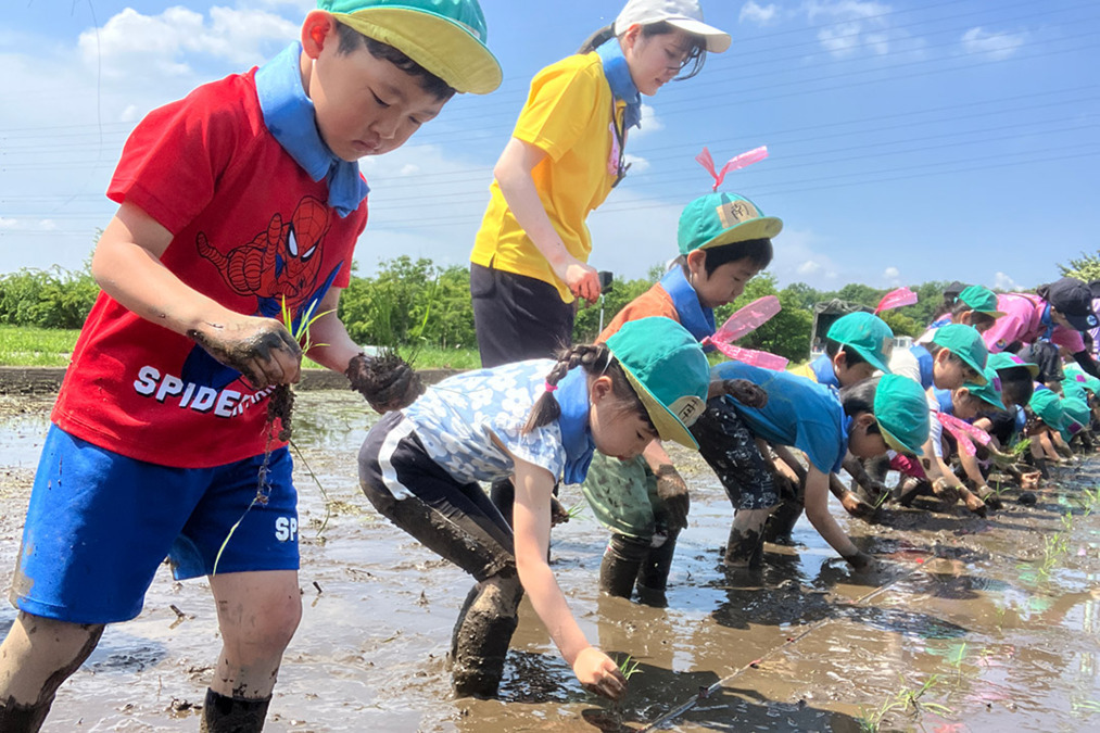 南浦和たいよう保育園（保育士の求人）の写真2枚目：