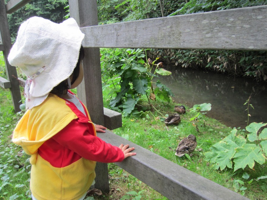 はるにれ保育園（保育士の求人）の写真3枚目：