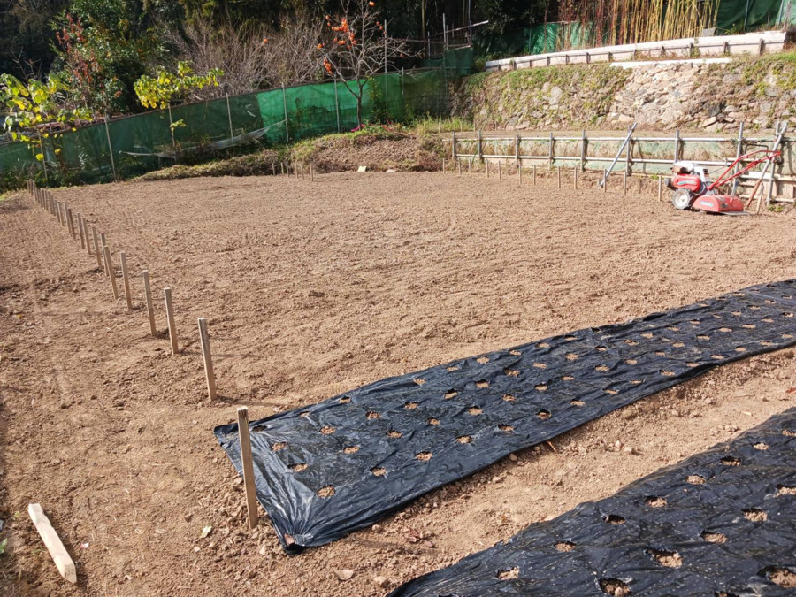 就労継続支援B型事業所 そらとね【2025年秋オープン】(生活支援員の求人)の写真3枚目: