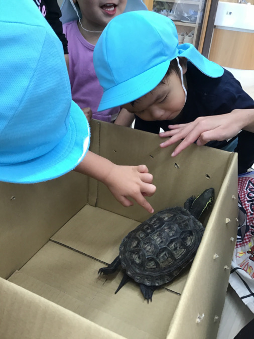 戸塚おもいやり保育園（企業主導型保育園）（保育士の求人）の写真11枚目：