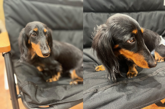 まいほーむ古作(生活支援員の求人)の写真8枚目: