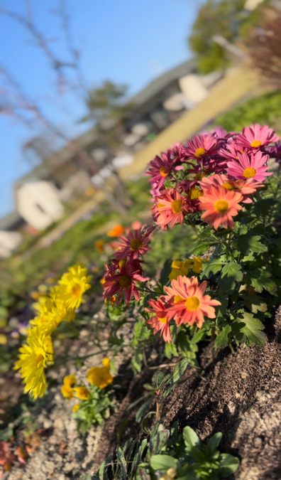 株式会社 森津介護サービスの写真4枚目: