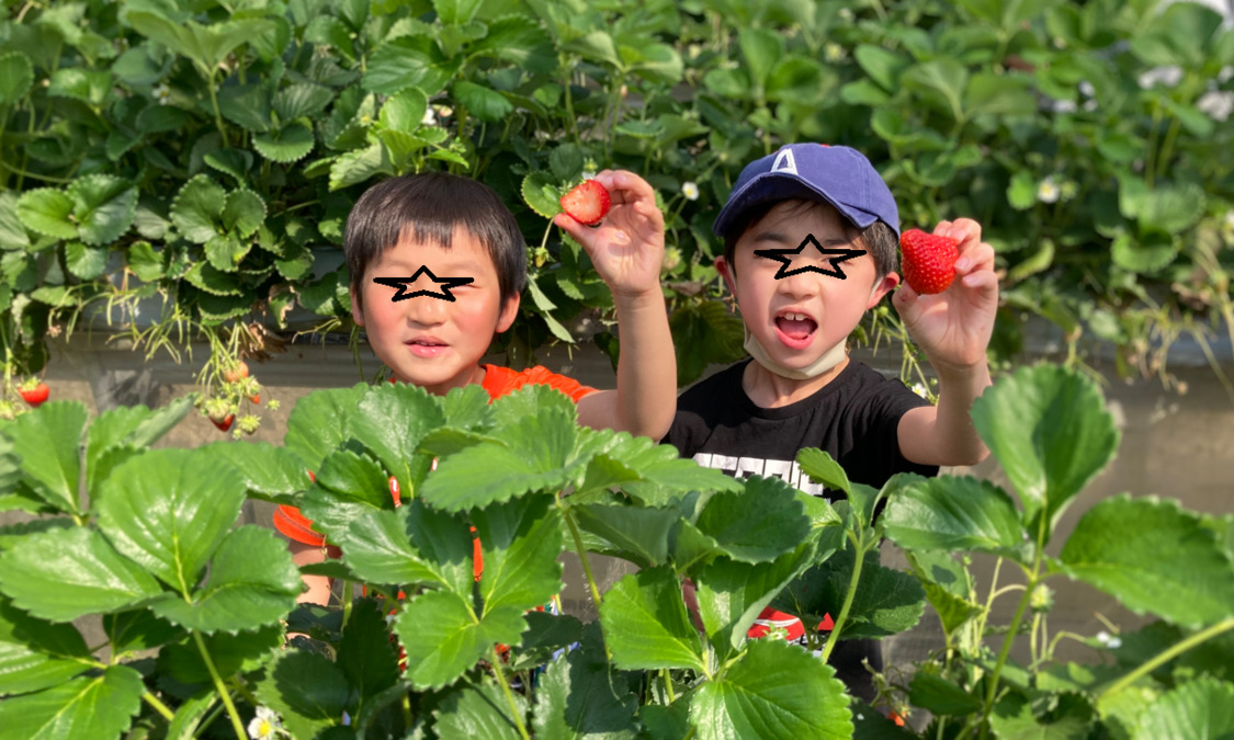 放課後等デイサービス とんぼっく（保育士の求人）の写真2枚目：