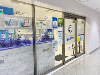 おおみち整形外科リハビリテーションクリニック（理学療法士の求人）の写真4枚目：入口の大きな水槽が目印です！