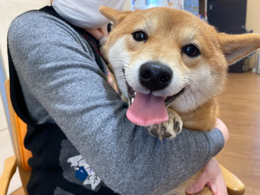 サービス付き高齢者向住宅 丸福kishiwadaの写真