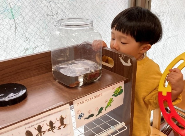 ほっぺるランド新大久保(保育士の求人)の写真2枚目: