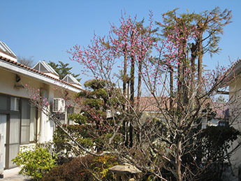 吉備高原清和荘の写真4枚目:利用者様の豊かな時間を支えませんか?