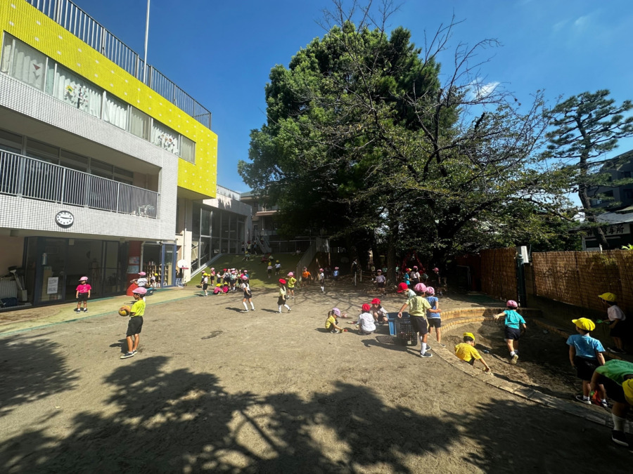 さくら幼稚園の写真