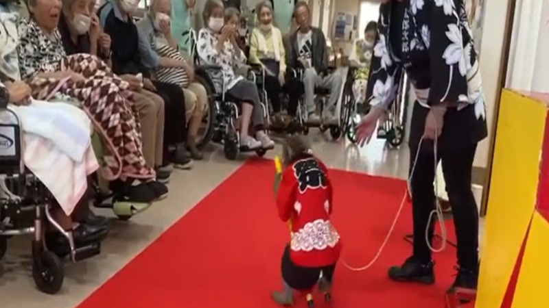 まつしまの家（看護師/准看護師の求人）の写真7枚目：