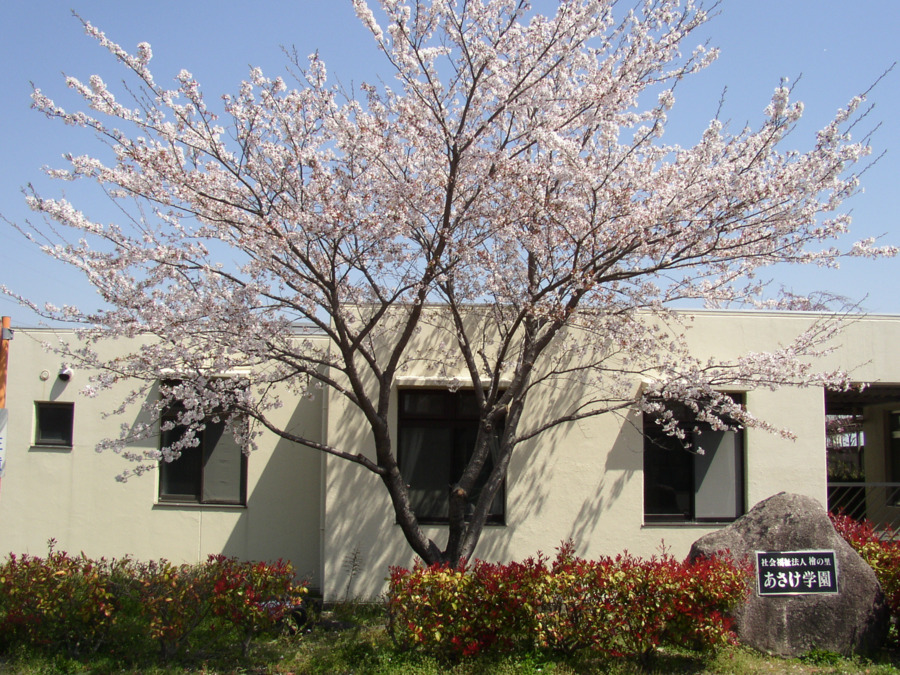あさけ学園の写真