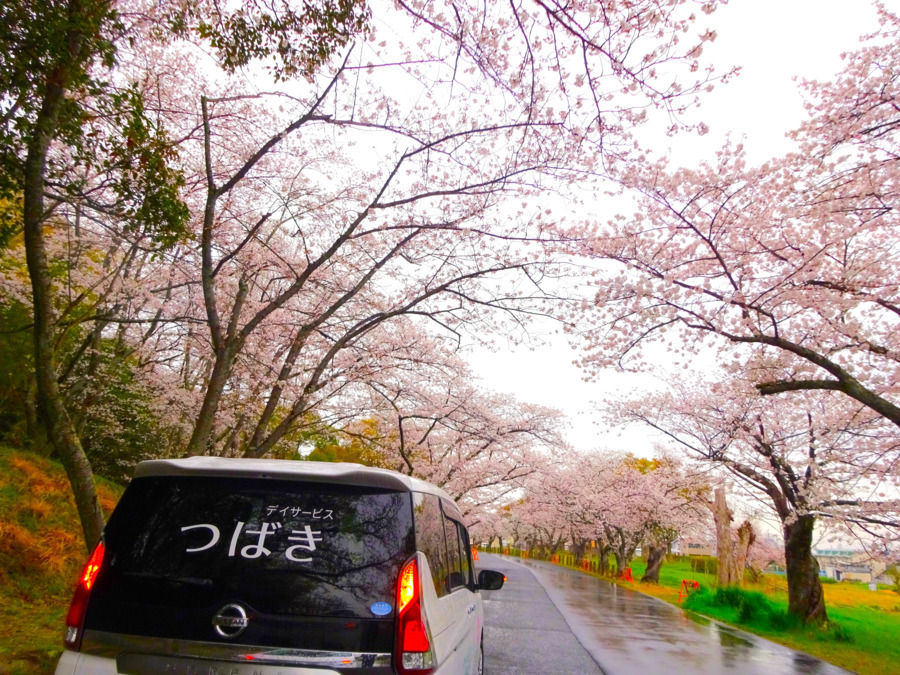 デイサービスつばきの写真4枚目: