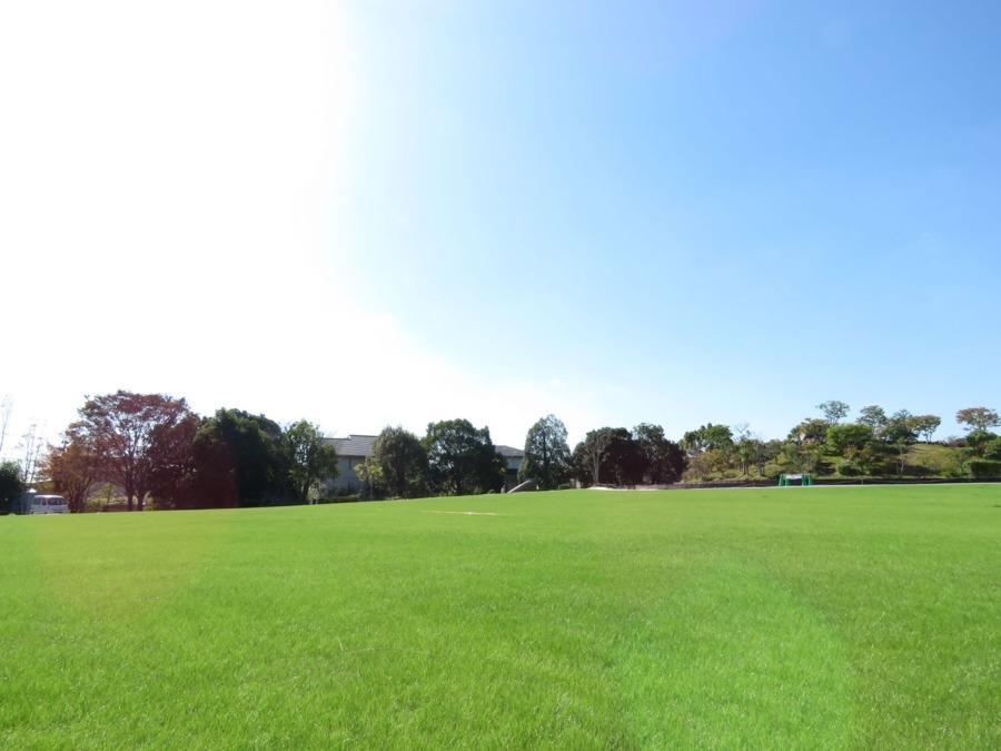 公園通り保育園(保育士の求人)の写真2枚目:保育園の前にある公園です。芝生がきれいで天気の良い日にはあそびに出かけます!