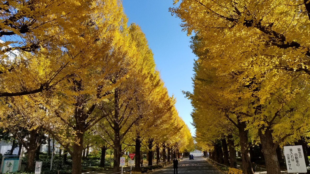 ちびっこランド日吉駅前園（保育士の求人）の写真1枚目：日吉駅から3分
