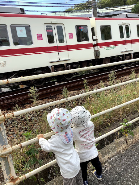認定こども園このみ保育園（保育士の求人）の写真5枚目：