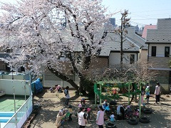 練馬区春日町保育園（保育士の求人）の写真2枚目：