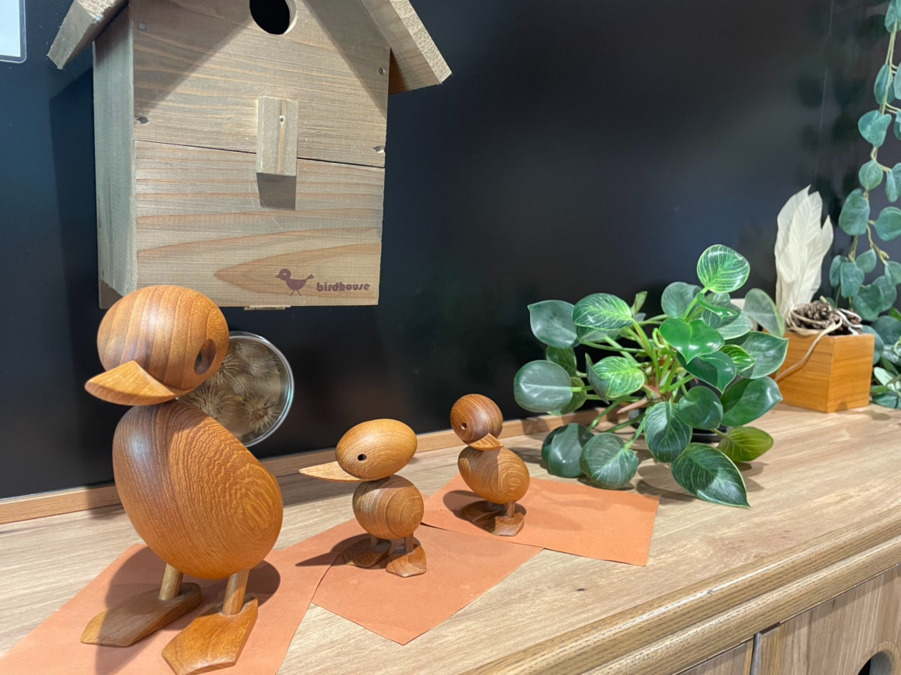 認定こども園ひなどり幼稚園の写真8枚目：エントランスホール