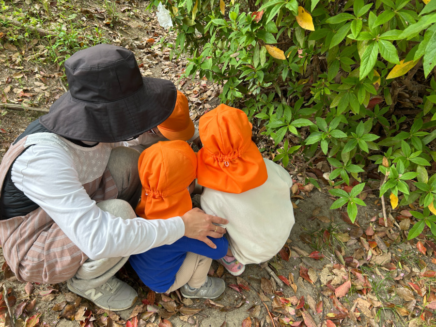 ひじりきっずるーむ(保育士の求人)の写真2枚目: