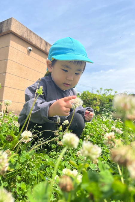 蕨錦町ゆたか保育園（調理師/調理スタッフの求人）の写真6枚目：