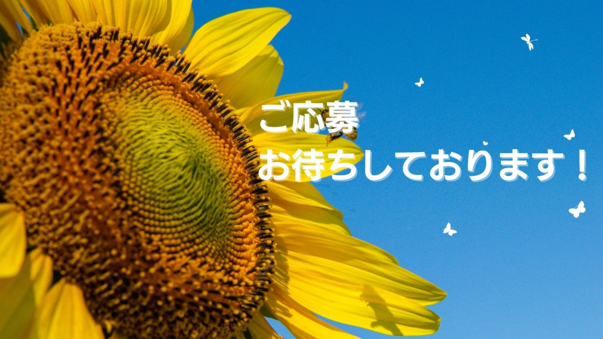 Meet【2024年09月オープン】（サービス管理責任者の求人）の写真3枚目：