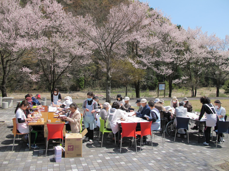 コスモス苑の写真
