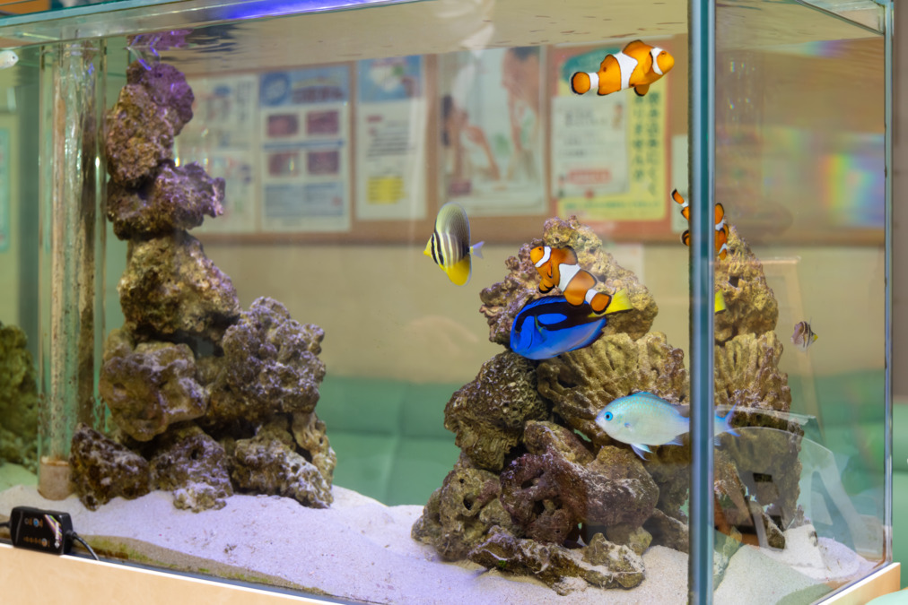 医療法人社団 秀英会 こばやし歯科医院（歯科衛生士の求人）の写真12枚目：