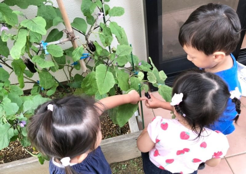 ありがとう保育園の写真10枚目：
