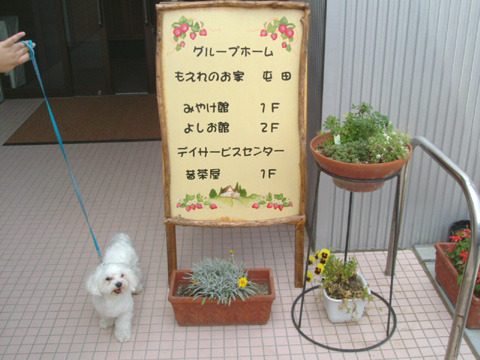 デイサービスセンター昔茶屋の写真2枚目：
