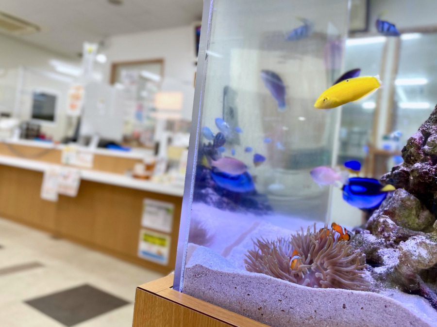 フラワー薬局 東小金井駅前店（薬剤師の求人）の写真3枚目：東小金井駅から徒歩1分！通勤ラクラクな好立地です♪