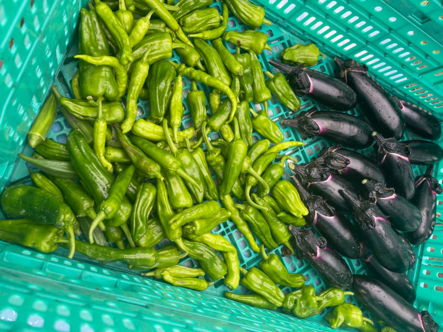 就労継続支援B型事業所 ワークスペースエルデ(生活支援員の求人)の写真4枚目: