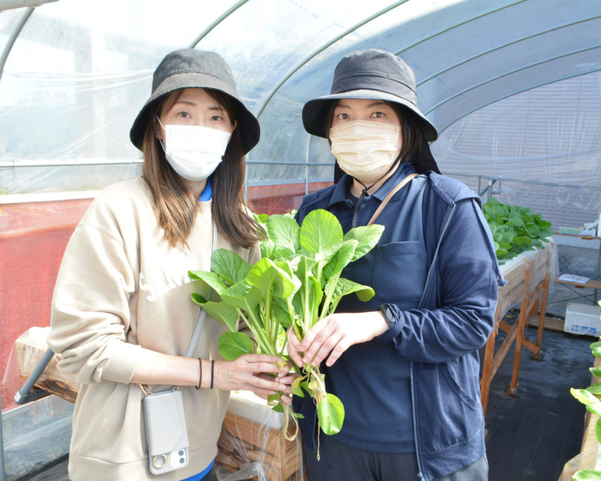 わかばファーム四日市の写真2枚目：