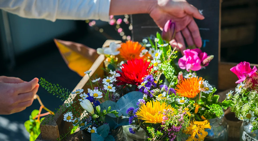就労継続支援A型事業所 ローランズファーム横須賀の写真