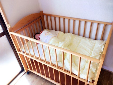 わいわい保育所の写真3枚目：