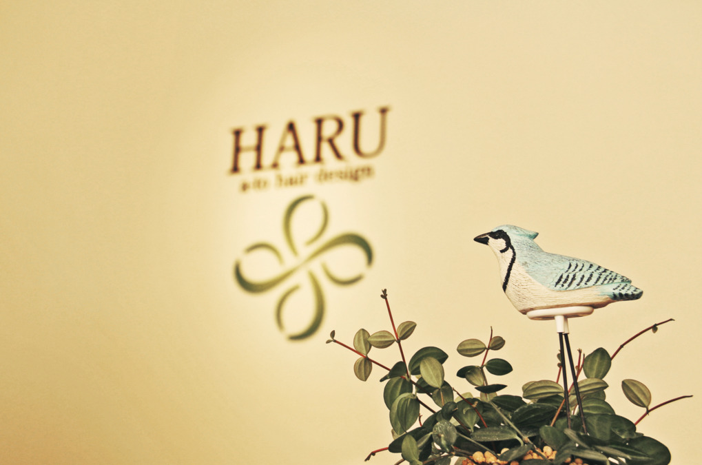 美容室HARUの写真