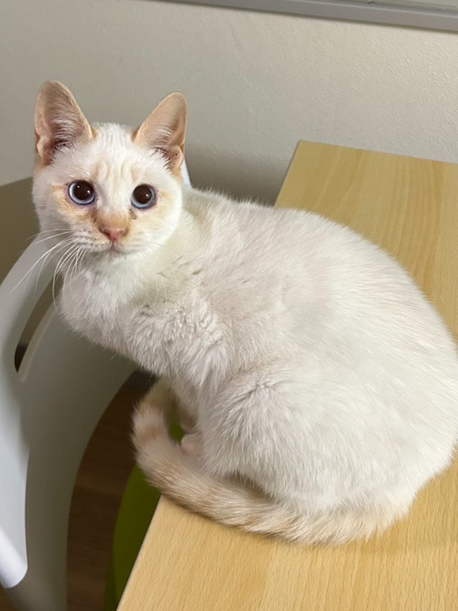 訪問介護とれじゃーまっぷ（生活支援員の求人）の写真4枚目：