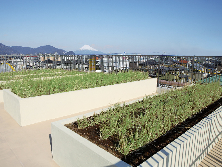 介護付き有料老人ホームでらいと焼津(介護職/ヘルパーの求人)の写真2枚目:屋上農園にて入居者と職員で野菜を育て、お食事やレクリエーションにて提供しています