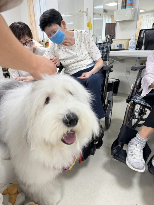 デイサービスエイル(看護師/准看護師の求人)の写真3枚目:楽しいイベントたくさん!大人気のドッグセラピー!