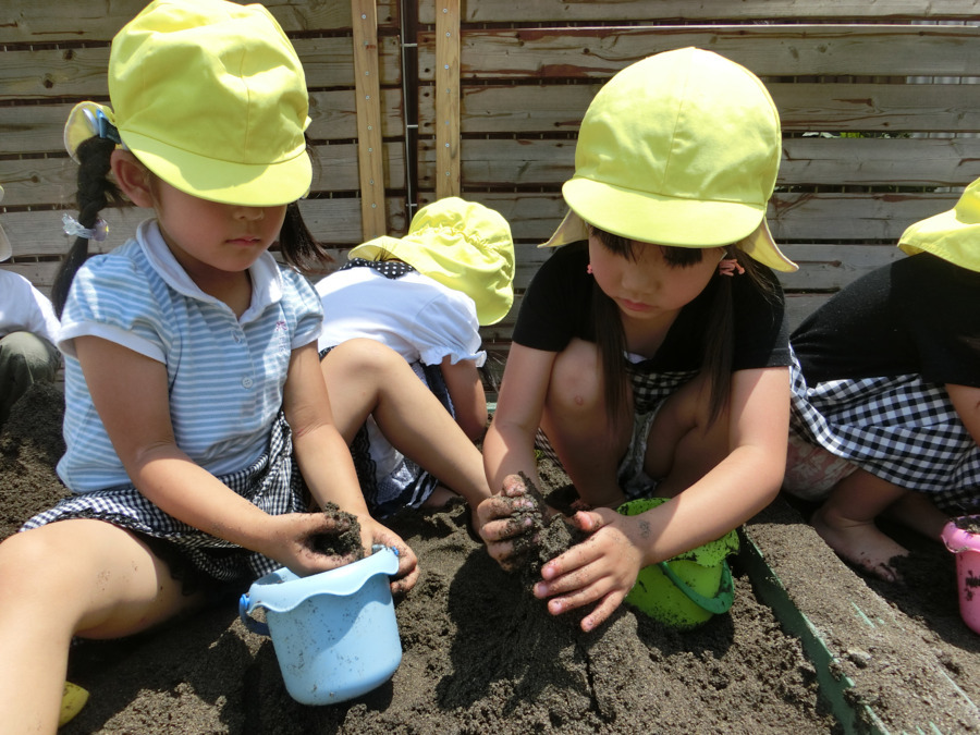 キッズ＆ベビー保育園 大和田園（保育士の求人）の写真2枚目：
