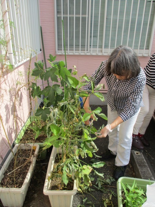 梨香台診療所 通所リハビリテーション(作業療法士の求人)の写真4枚目: