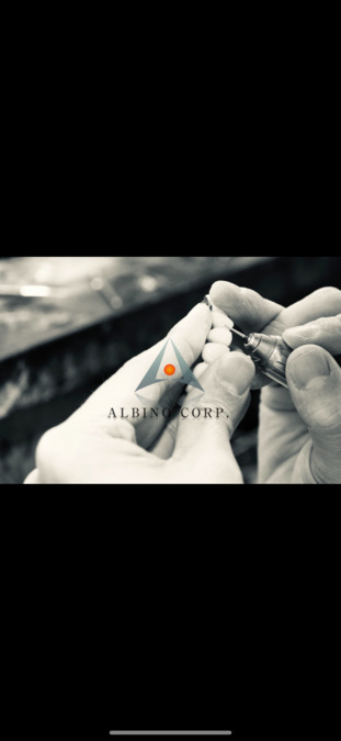 株式会社ALBINO　の写真1枚目：