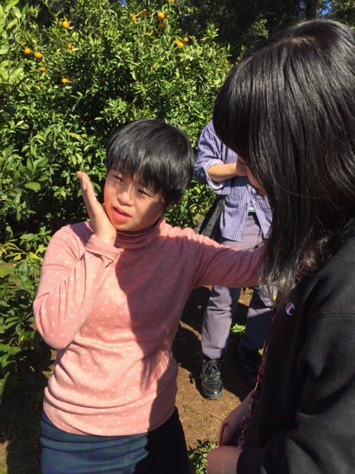 ヘルパーステーションびいとの写真7枚目：みんなでみかん狩りをしています！