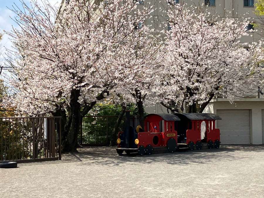 六ツ川台保育園の写真7枚目：