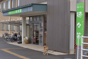 有料老人ホーム穂々笑 の写真